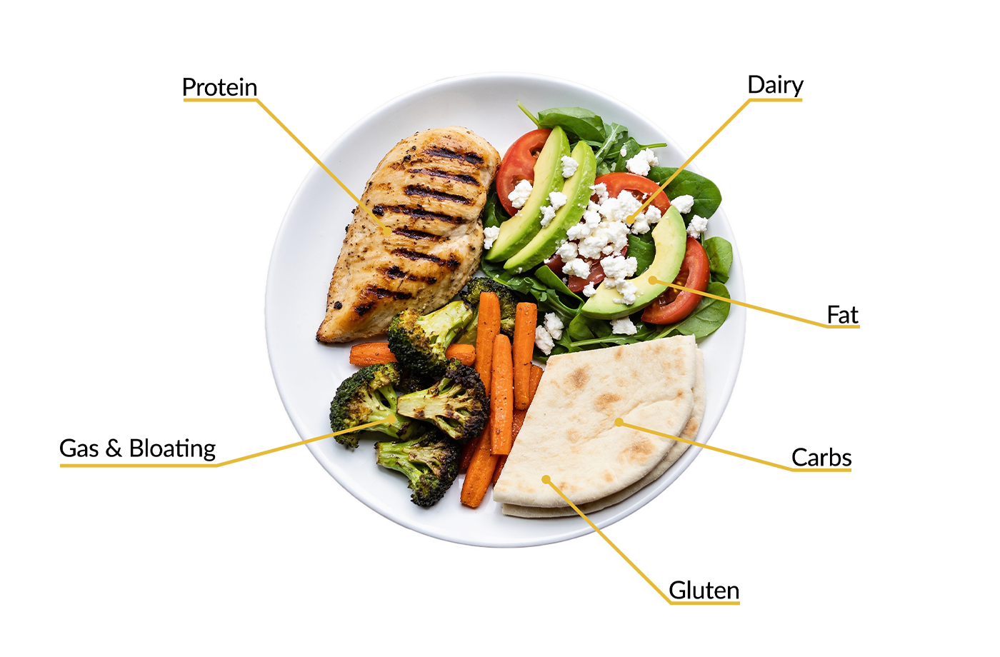A plate of grilled chicken, salad with feta and avocado, roasted broccoli and carrots and pita, each item labelled with the nutrient it contains: protein, dairy, fat, carbs, gluten, and gas and bloating